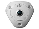 Hikvision IP Fisheye