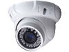 Fixed Eyeball IR dome camera